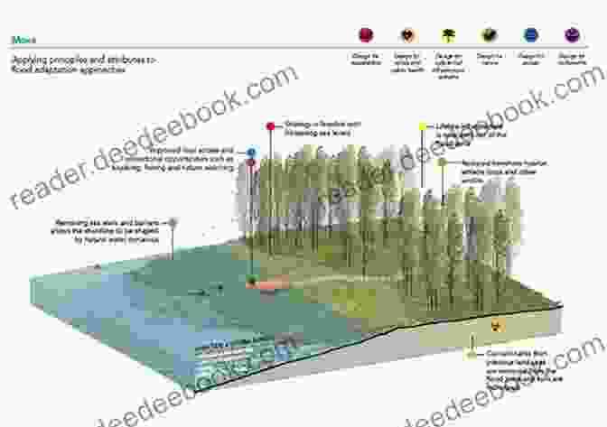 A Diagram Illustrating Various Adaptation Measures For Coastal Change, Including Seawalls, Wetland Restoration, And Community Relocation. Rising Tides: The Complete