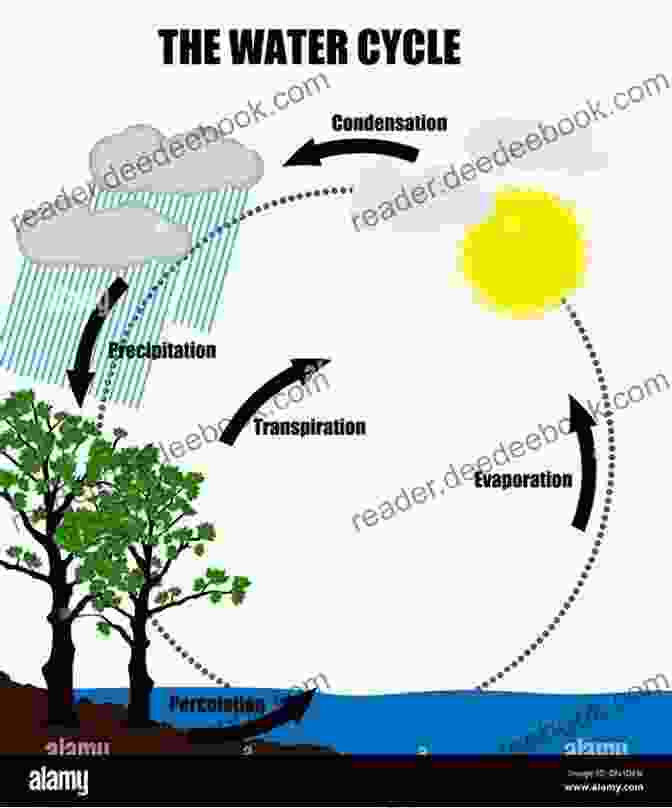 A Diagrammatic Representation Of The Cyclical Nature Of The Descent And Renewal Process, With Arrows Indicating The Transitions Between Phases. Psychedelics And The Unconscious Abridged: Integrating The Mythology Of Descent And Renewal