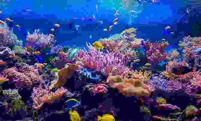 A Diver Using A Wide Angle Lens To Capture A Breathtaking Panoramic View Of A Coral Reef, Showcasing Diverse Marine Life And The Expanse Of The Underwater Realm. Advanced Underwater Photography: Techniques For Digital Photographers