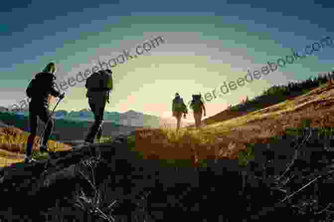 A Group Of Hikers On A Penguin Great Journeys Tour, Hiking Through A Beautiful Mountain Meadow. Adventures In The Rocky Mountains (Penguin Great Journeys)