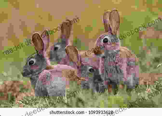 A Group Of Mutant Bunnies Huddling Together In A Grassy Field Mutant Bunny Island #3: Buns Of Steel