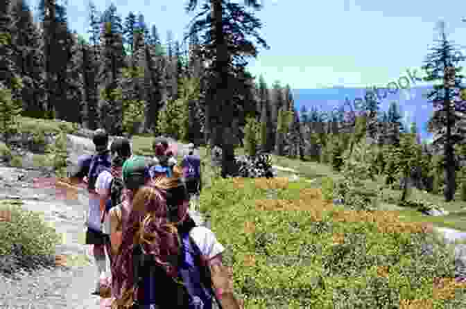 A Group Of Students Hiking Through A Lush Forest During An Isabel School Expedition. World Of Reading: Elena Of Avalor: Isabel S School Adventure: Level 1 (World Of Reading (eBook))