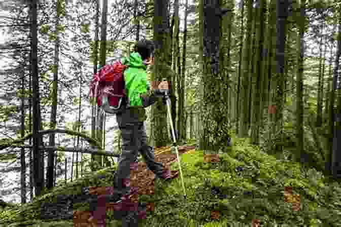 A Person Hiking Through A Forest, Guided By A Clear Sense Of Purpose And Direction. The Widowers Manual: Unrevealed Cornerstones To Regenerate Your Life