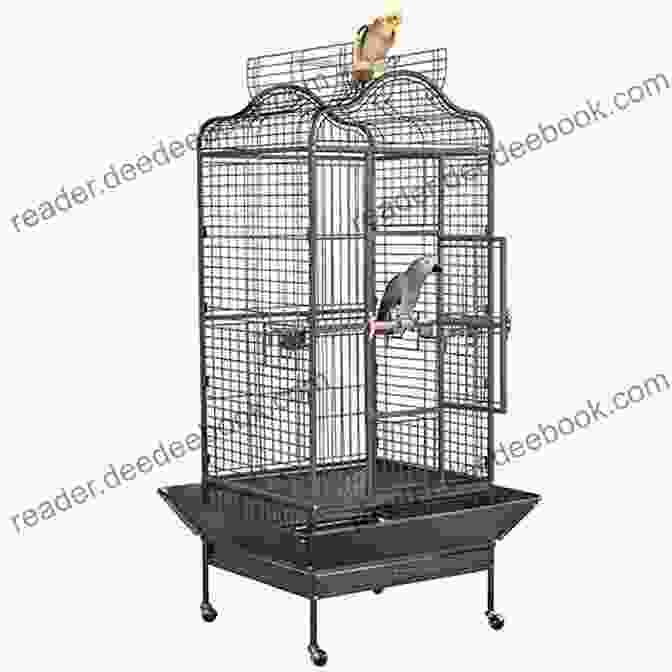 A Spacious And Stimulating Cage For An African Grey Parrot, Providing Plenty Of Room For Exercise, Play, And Mental Enrichment. CONVERSATIONS WITH COSMO: AT HOME WITH AN AFRICAN GREY PARROT