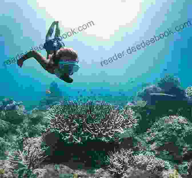 A Young Boy Taking An Underwater Photo Of A Coral Reef. Underwater Cameras And Photography: Now Even Kids Can Take Underwater Photos