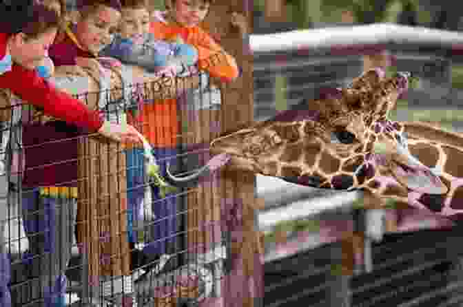 Children Interacting With Animals At Ladybug Farm During An Educational Program Love Letters From Ladybug Farm