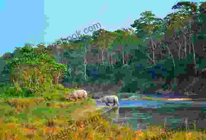 Chitwan National Park, Nepal Nepal : An Exotic Tourist Destination