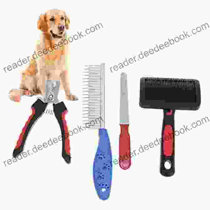 Comprehensive Pet Grooming Kit With Brush, Comb, Scissors, And Nail Clippers The Well Dressed Dog: 26 Stylish Outfits Accessories For Your Pet