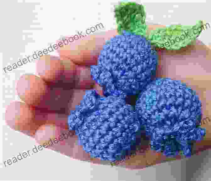 Crochet Blueberry Pattern Crochet Food 35 Crochet Patterns Of Fruits And Vegetables