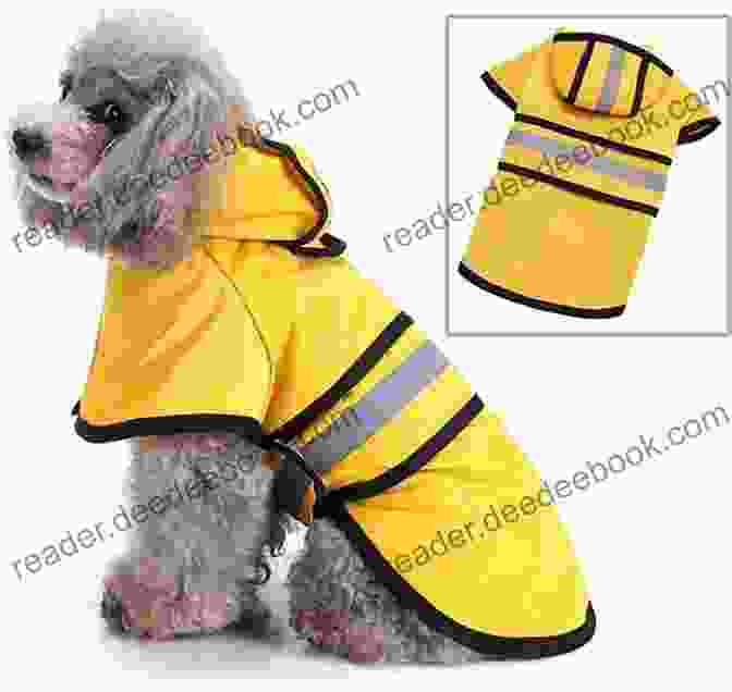 Reflective Waterproof Dog Jacket With Adjustable Hood The Well Dressed Dog: 26 Stylish Outfits Accessories For Your Pet