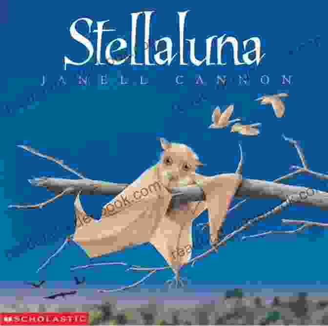 Stellaluna By Janell Cannon (English/Spanish) Sleep Routine Of A Bean Fasulye Nin Uyku Rutini: A Bilingual Picture For A Bedtime Story: English Turkish Edition