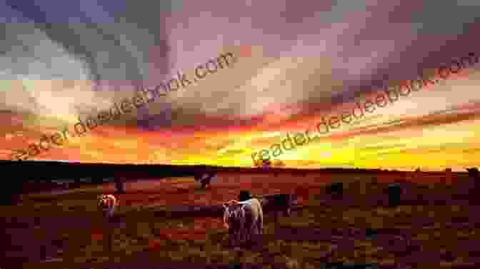 Sunset Over The Pastures Of Ladybug Farm, With Animals Grazing Peacefully Love Letters From Ladybug Farm