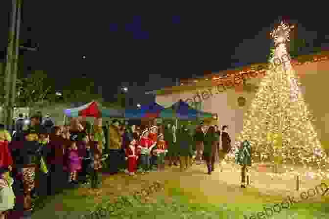 The Christmas Tree Lighting Ceremony In Katama Bay. A Thanksgiving Full Of Gratitude (A Katama Bay 5)