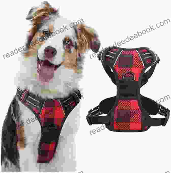 Trendy Plaid Print Dog Harness With Adjustable Straps The Well Dressed Dog: 26 Stylish Outfits Accessories For Your Pet