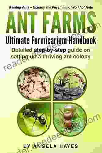 Ant Farms: Ultimate Formicarium Handbook