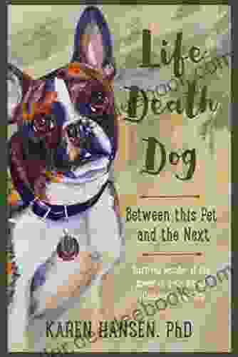 Life Death Dog: Between This Pet And The Next