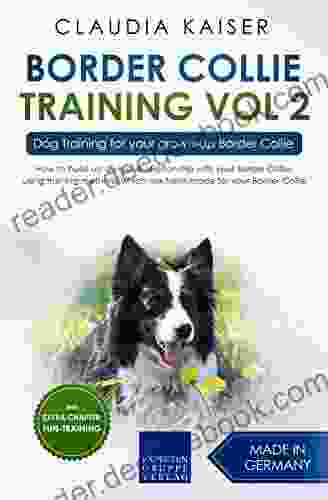 Border Collie Training Vol 2: Dog Training for your grown up Border Collie