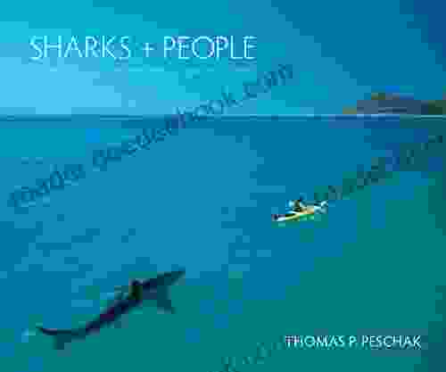 Sharks and People: Exploring Our Relationship with the Most Feared Fish in the Sea