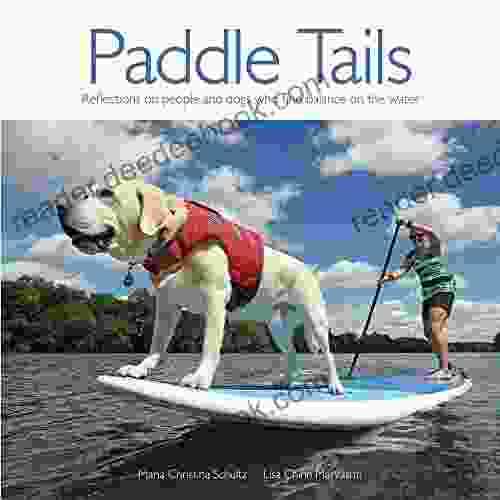 Paddle Tails: Reflections on people and dogs who find balance on the water