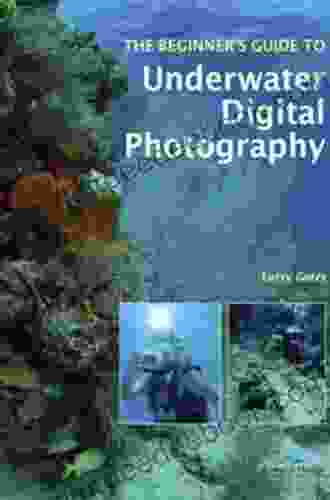 The Beginner S Guide To Underwater Digital Photography