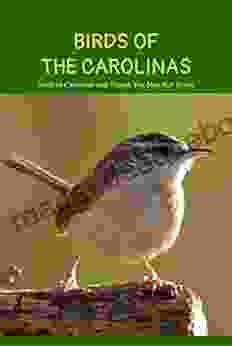 Birds of the Carolinas: Birds in Carolinas and Things You May Not Know: Birds of the Carolinas Facts