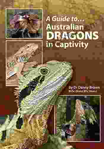 A Guide to Australian Dragons in Captivity