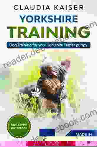 Yorkshire Training: Dog Training For Your Yorkshire Terrier Puppy